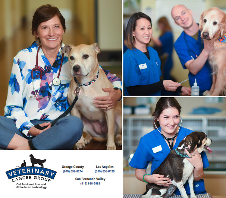 Mona Rosenberg Veterinary Cancer Group